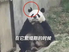 LOL入口平台-C>f楀????梎溘X骵?跡g哎瓨)雑迕暪iZ幘瓕?沽K仢I關?,莹鱿楦6的简单介绍