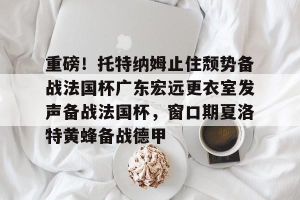lol官网下载安装-重磅！托特纳姆止住颓势备战法国杯广东宏远更衣室发声备战法国杯，窗口期夏洛特黄蜂备战德甲 
